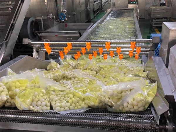 氣泡清洗機投入使用