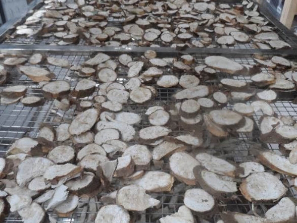 空氣能烘干機投入使用